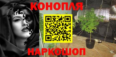 шишки Можга