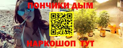 шишки Можга