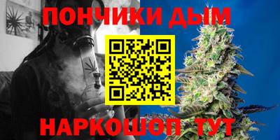 шишки Можга