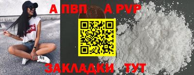 шишки Можга