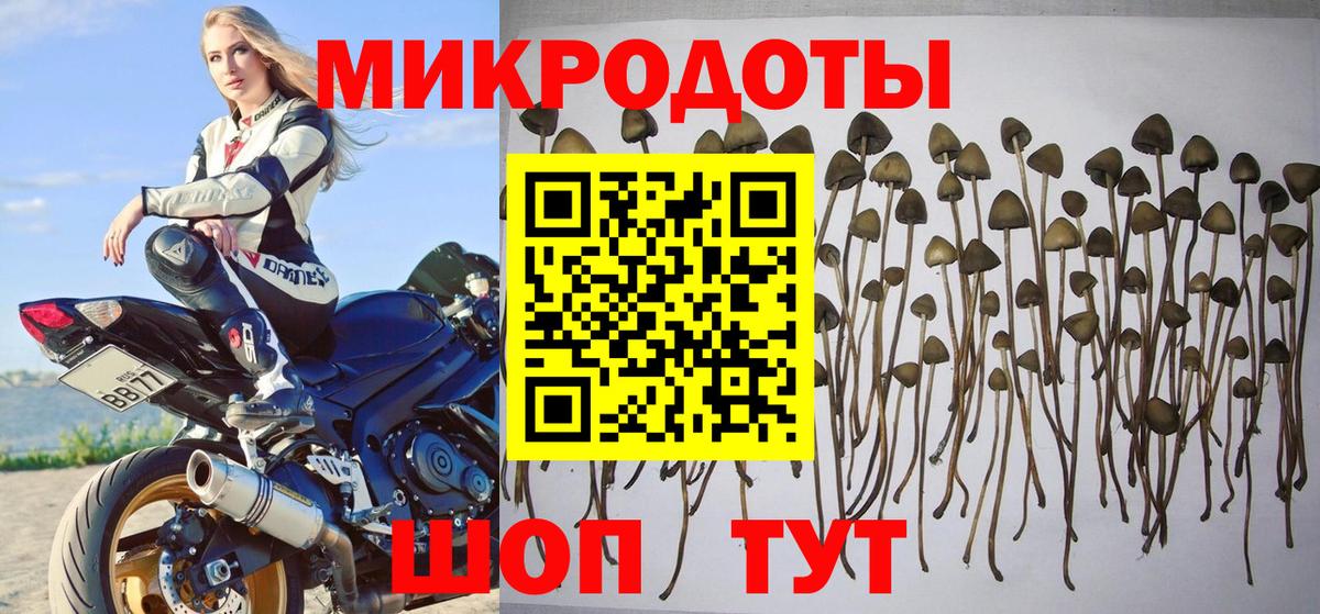 Галлюциногенные грибы Psilocybe  Вход с VPN  Сухой Лог  Галлюциногенные грибы ЛСД 